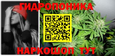 спиды Заводоуковск